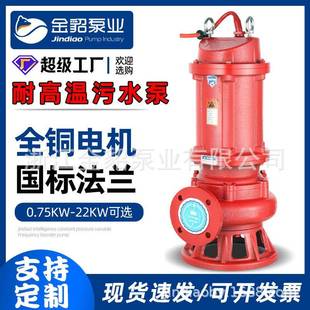 厂家WQR耐高温污水泵潜水排污泵大流量污水提升潜污水泵国标