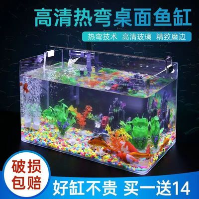 蝾螈饲养缸六角恐龙专用缸的鱼缸美西螈生态缸自循环免换水娃娃鱼