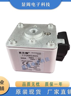 熔断器保险丝170M5449/5452/5458/5459/5460/5461/5462/5463