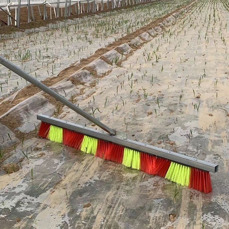 大蒜出苗刷子大蒜破地膜出苗神器人工出芽破膜工具种植大蒜农具,农机/农具/农膜,其它农用工具,淘宝优惠券,粉丝福利购,淘宝优惠卷