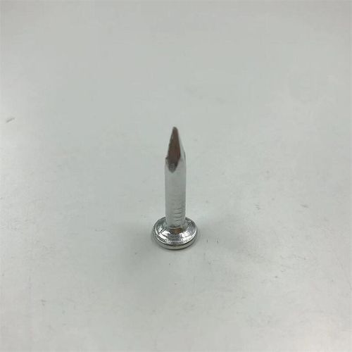 大帽钉水a泥钉墙钉墙壁钢钉长253020沥青瓦钉镀锌防锈大冒钉子金