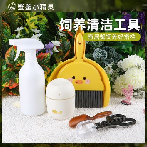 寄居蟹饲养c箱子清洁工具合集喷壶清洁铲子加湿器夹子饲养搭档套
