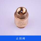 铜单向止回江心盛田蒸汽发生器佳先耐温防回水止逆水