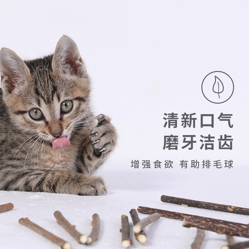 猫咪猫薄荷木天蓼棒猫咪零食磨牙洁齿幼猫啃咬用品自嗨磨牙棒,宠物/宠物食品及用品,猫薄荷/木天蓼,淘宝优惠券,粉丝福利购,淘宝优惠卷