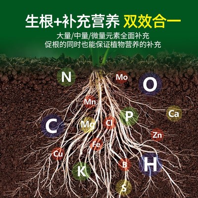 大树生根液枯树再生复活液树木移栽壮苗剂植物通用型营养液激活液