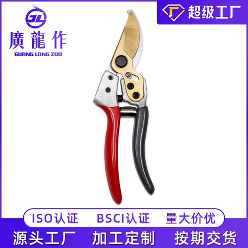 园艺剪枝剪刀 h果树修枝剪不锈钢园林花艺修剪 树枝工具采摘水果