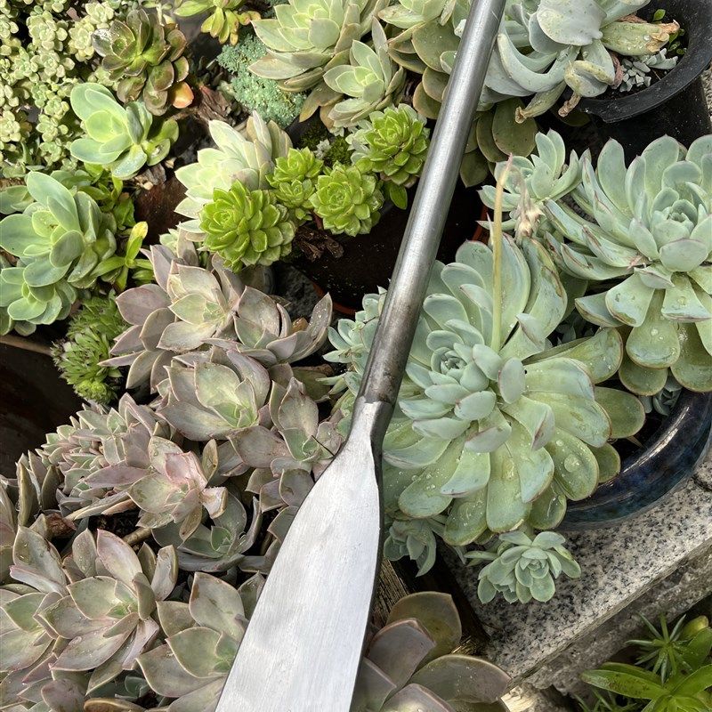 巴蜀孙铁匠手工锻打加长铲锹挖土刨地种园林小锄头,农机/农具/农膜,铲子,淘宝优惠券,粉丝福利购,淘宝优惠卷