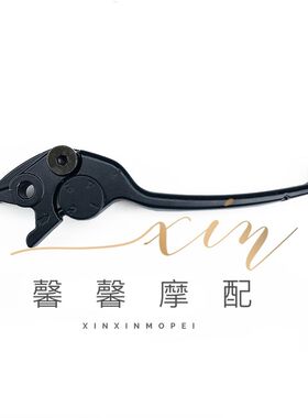 钱江钱江龙前碟刹泵总成 前刹上泵 下泵