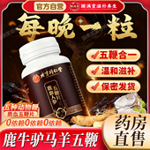 北京同仁堂朕皇鹿血人参五鞭片鹿鞭牛鞭驴鞭马鞭羊鞭男士 养生滋补