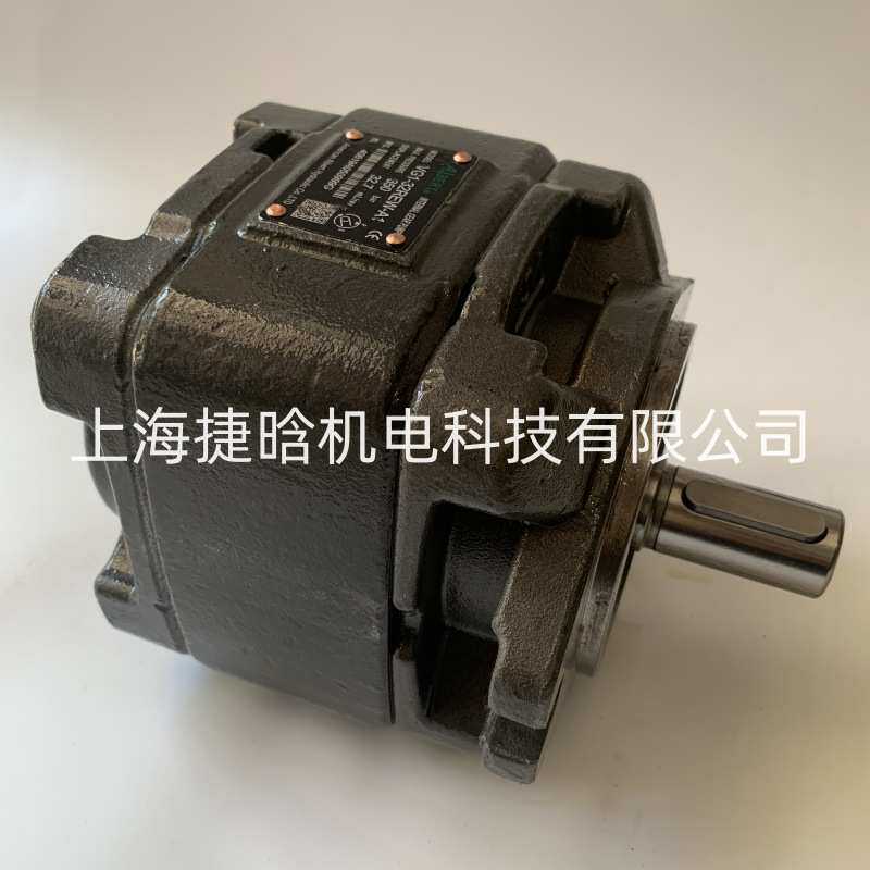 ALBERT内啮合齿轮泵 VG1-63REW-A1 折弯机伺服油泵 VG1-50REW-A1