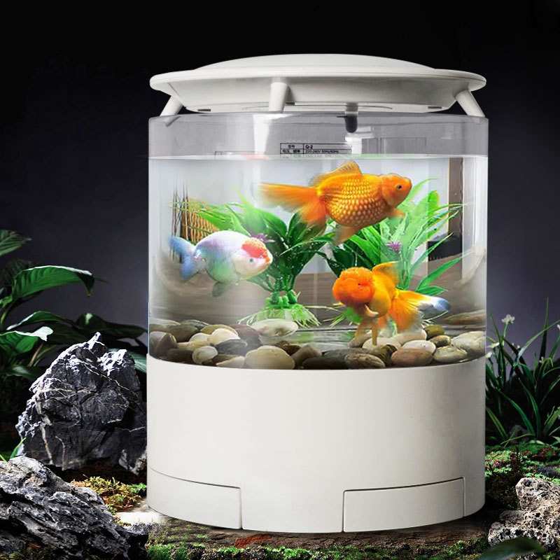 圆柱鱼缸水族箱免换水懒人鱼缸桌面金鱼缸带灯过滤水泵