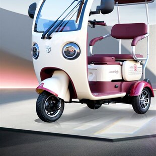 大安罗纳多电动三轮车星语1号老人代步接送孩子时尚经典款式