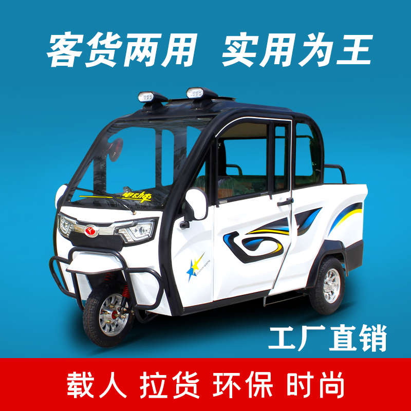 大将新款全封闭电动三轮车家用小型接送孩子带棚拉货老年老人皮