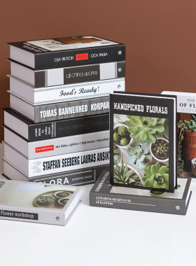 现代简约假书摆件家居店铺软装饰品摆设摄影拍摄道具书盒子模型