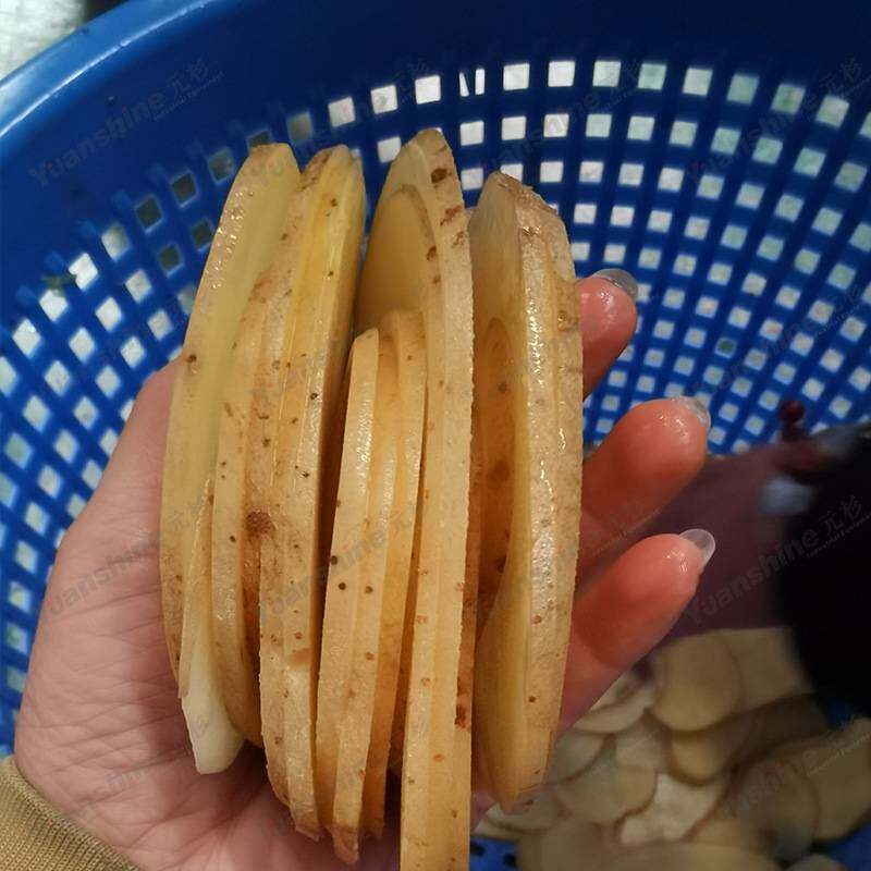 全自动大型水果切片机 柠檬猕猴桃切片机 多功能水果茶片切片机