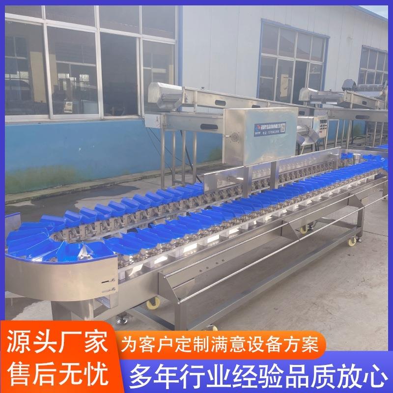 全自动重量分选机设备 供应百香果称重机 鸡翅重量分选机设备