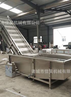 气泡毛豆清洗机 全自动水果蔬菜清洗机 草莓苹果去杂质果蔬清洗机