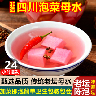 正宗四川泡菜老母水坛子酸菜引子乳酸菌老坛酸水泡辣椒腌酸菜母水
