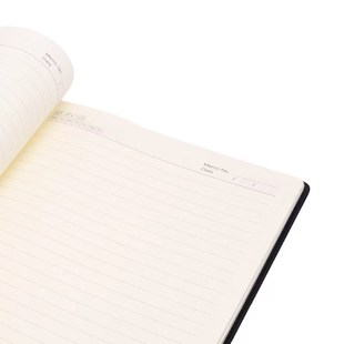 双赢1101商务笔记本B5 办公文具16L皮面记事本120张80g米黄道林纸