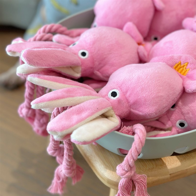 宠物玩具粉色绳结章鱼幼犬磨牙陪伴互动玩偶拔河毛绒八爪鱼响声
