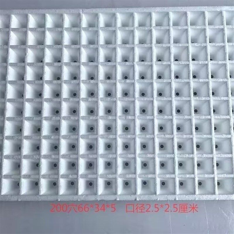 水上漂浮泡沫漂浮育苗盘泡沫育苗盘蔬菜药材育苗烤烟漂浮盘穴盘,鲜花速递/花卉仿真/绿植园艺,育苗盘/营养钵,淘宝优惠券,粉丝福利购,淘宝优惠卷
