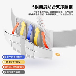 OES护腰带腰间盘劳损腰椎突出腰疼痛保暖男女士腰托 源自英国