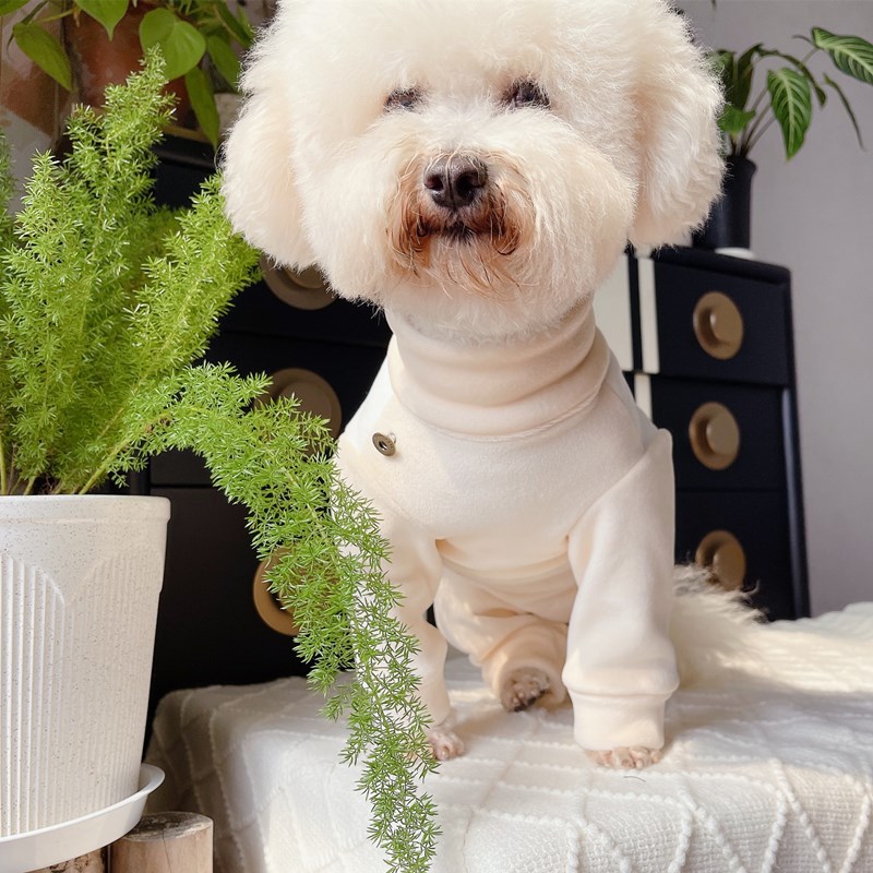 潮查利家宠物秋冬加绒保暖包肚衣服泰迪比熊网红猫咪公母狗护肚裙