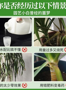 龙血树专用营养液免稀释黄叶太空铁黑珍珠龙须树专用肥料液体肥