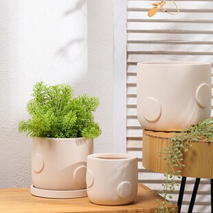 北欧手绘上色陶瓷素胚花盆有孔带底座自吸水陶土罐绿植多肉蝴蝶兰