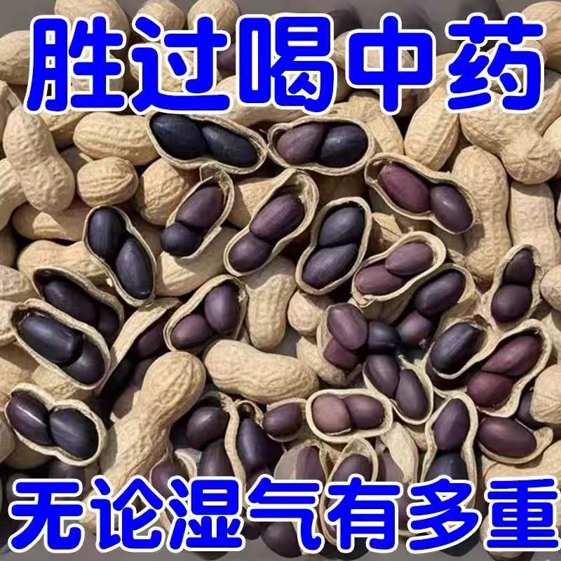 新货正宗云南带壳黑花富硒黑花生