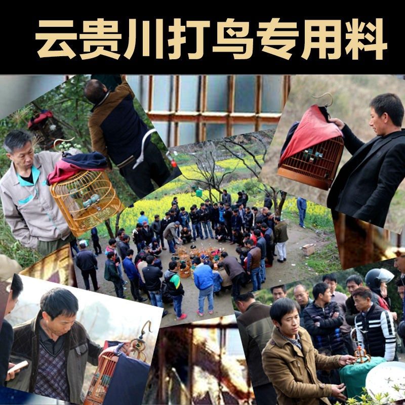 画眉王画眉鸟食饲料斗鸟料唱鸟料提性壮膘手工营养收身换毛料500g,宠物/宠物食品及用品,鸟食,淘宝优惠券,粉丝福利购,淘宝优惠卷