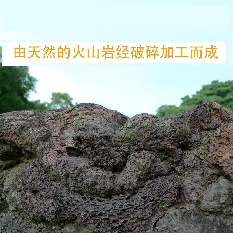 红色火山岩黑色火山石铺面石多肉土营养土颗粒土造景水族兰花专用,鲜花速递/花卉仿真/绿植园艺,介质/营养土,淘宝优惠券,粉丝福利购,淘宝优惠卷