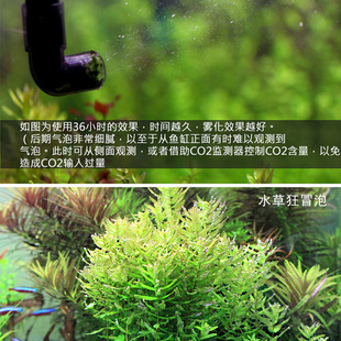 仟锐外置扩散桶二氧化碳细化器水草鱼缸co2钢瓶发生器套装雾化器