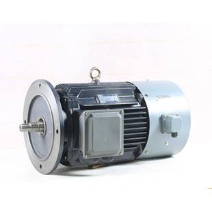 变频齿轮铁壳4极电机(YS71--YX3-280)