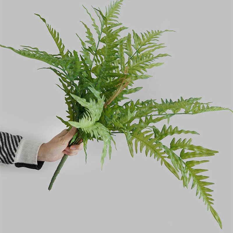 大号把束带叶蕨叶 排草植物墙婚庆家居装饰波斯叶大把束蕨草蕨类