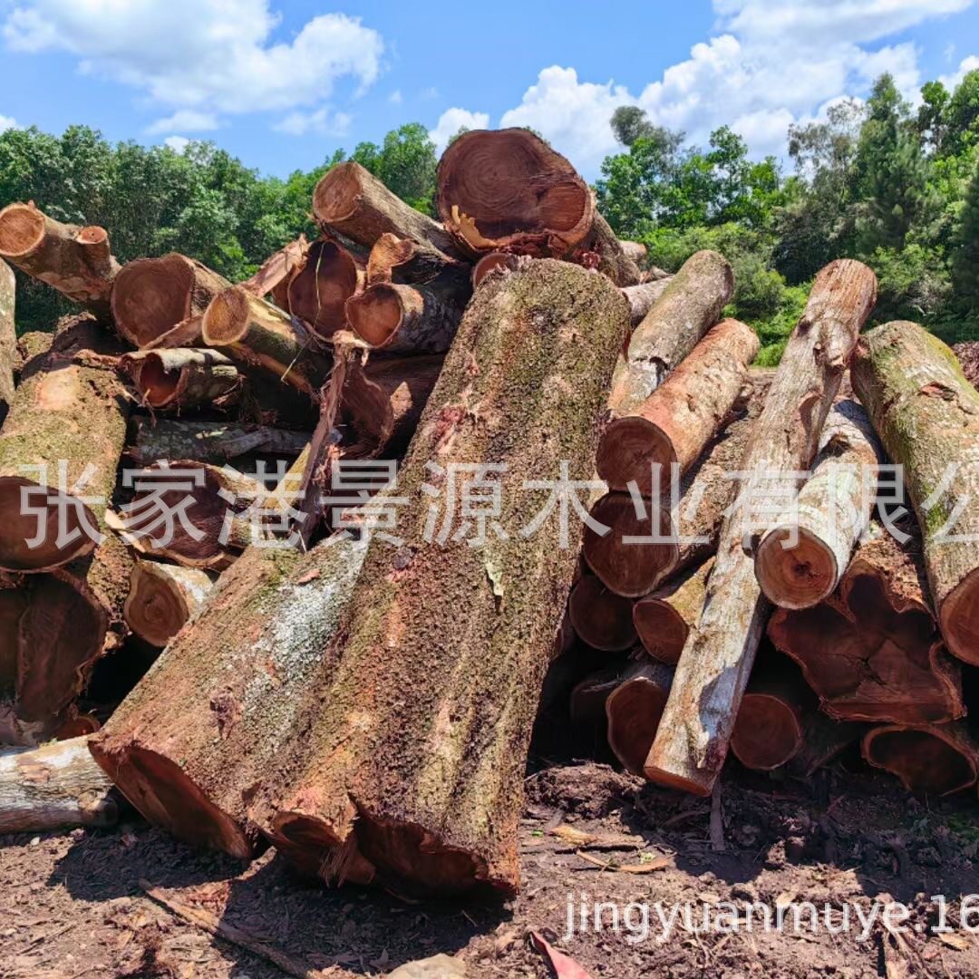 相思木马占海南相思木工艺品材东南亚木材家具材雕刻材