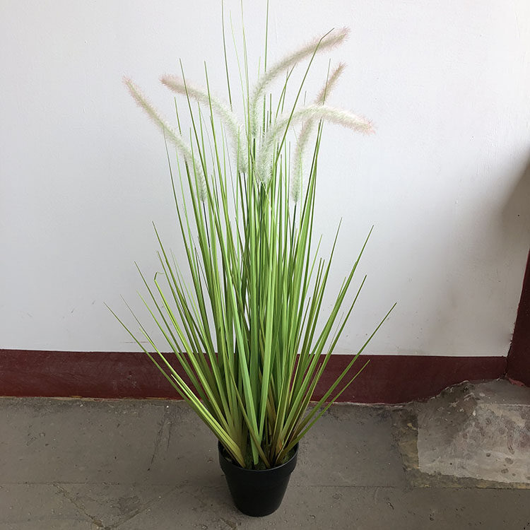 兔尾草干花舞台道具稻谷狗尾草芦苇干草装饰绿色植物盆栽盆景