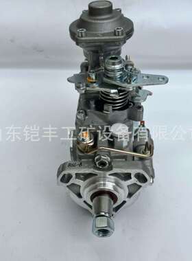 燃油泵196000-307022100-1C241喷油泵1960003070221001C241