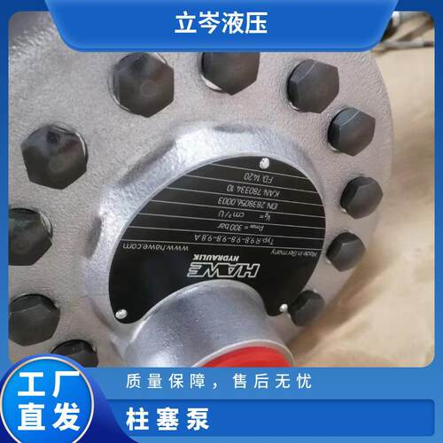 德国 HAWE/哈威 SCP064R-N-DL4-L35-S0S-000 柱塞泵