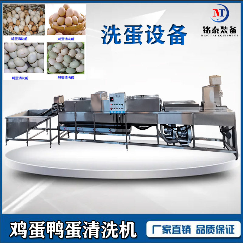 洗蛋机 鸡蛋清洗机 双排鸭蛋清洗风干消毒机 蛋品加工流水线洗