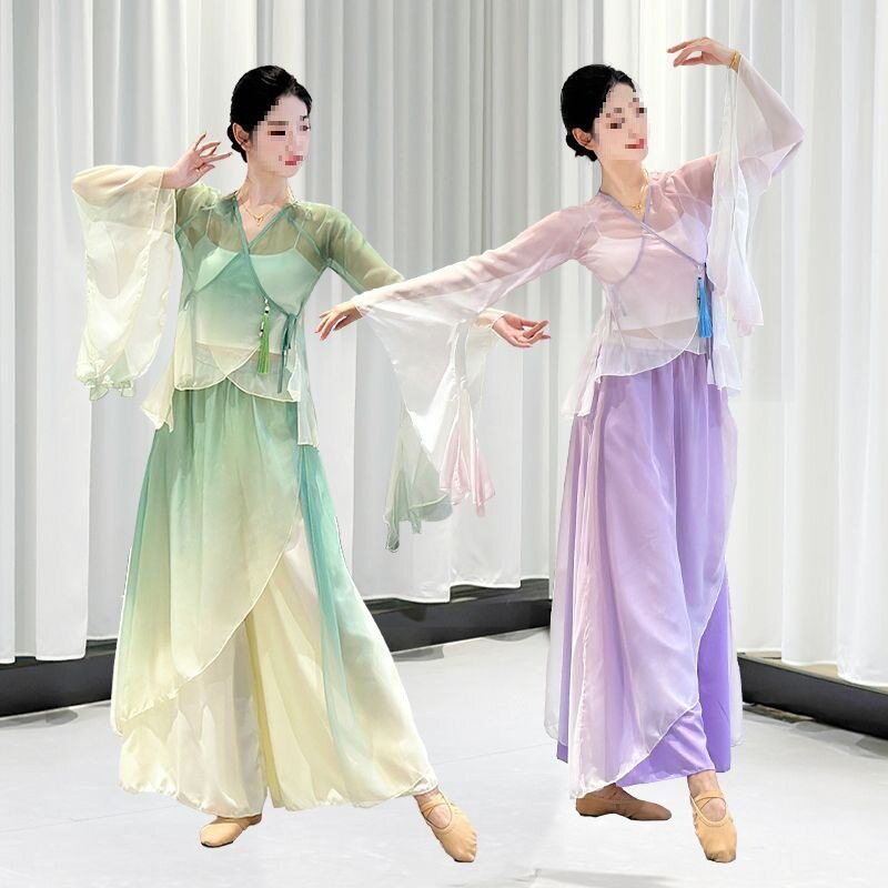 T5J古典舞纱衣飘逸中国舞蹈演出裙装女仙气夏季网纱粉绿紫古风民