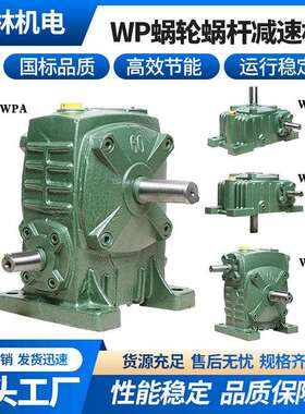 WPWKO蜗轮蜗杆减速机卧式WPA小型变速箱10速比WPDA减速器
