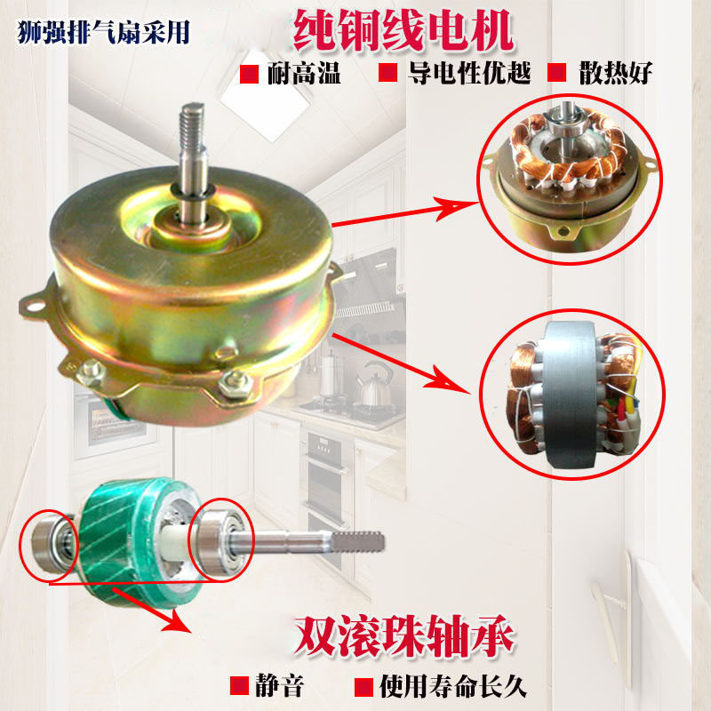 狮强牌厨房油烟排气扇排风换气扇10寸窗式静音强力洁王抽吸机S601