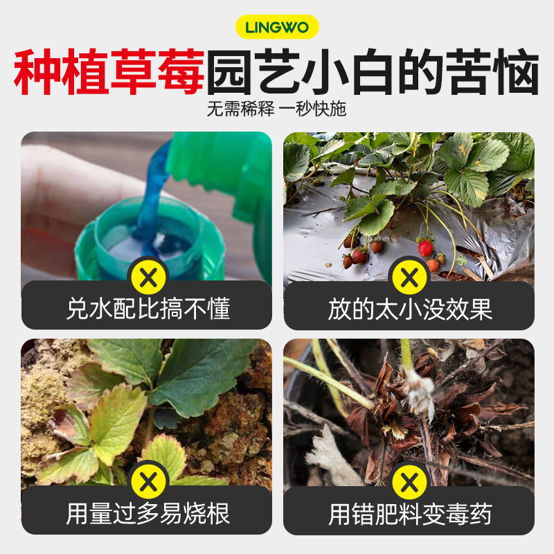 草莓肥料专用肥免稀释营养液家用盆栽水溶叶面肥专用药有机液体肥