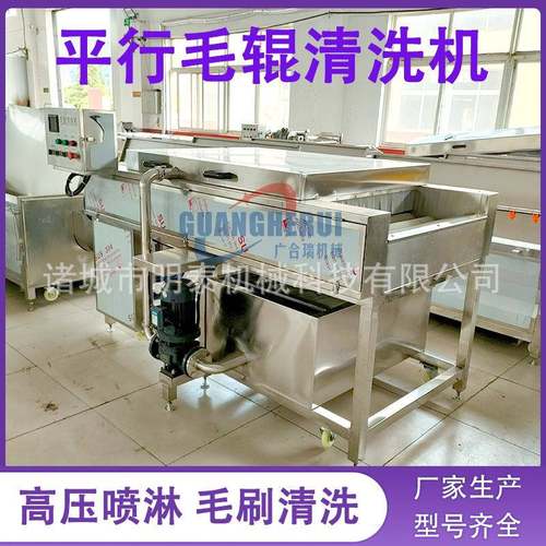 根茎类蔬菜平行毛辊清洗机山楂大枣毛刷清洗设备海蛎子清洗去泥