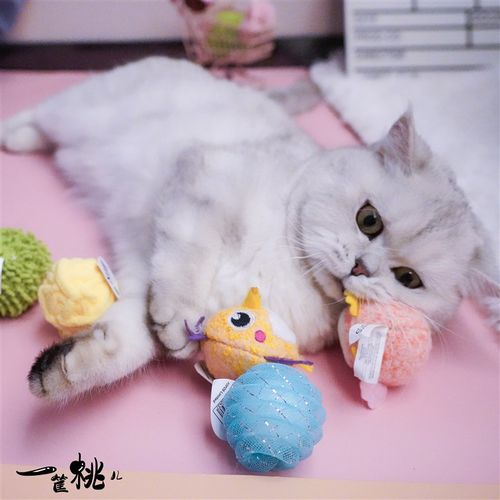 FOFOS猫薄荷逗猫球猫咪玩具两只福狸毛线绒球宠物耐啃咬铃铛自嗨