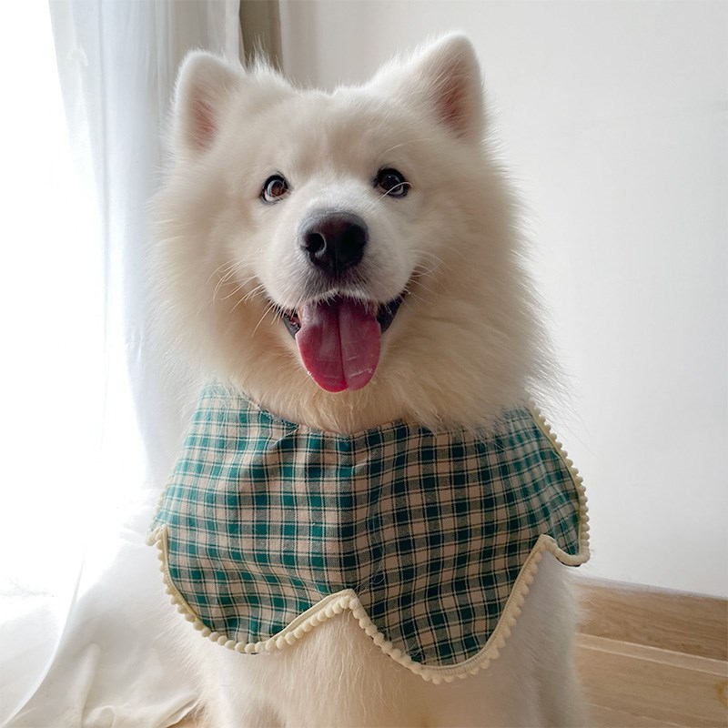 宠物狗狗新款口水巾深绿色格子花瓣围脖大中小型犬萨摩耶拉布拉多