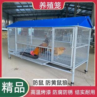 尖顶养殖笼鸡鸭兔笼防黄鼠狼防鼠蛇不生锈户外养鸡棚养鸡笼子家用