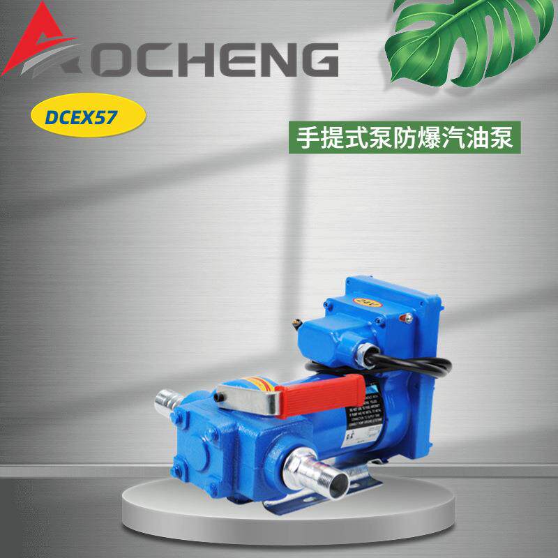 奥诚DCEX57手提式泵12V24V电动汽油泵方便携带汽油机加油机