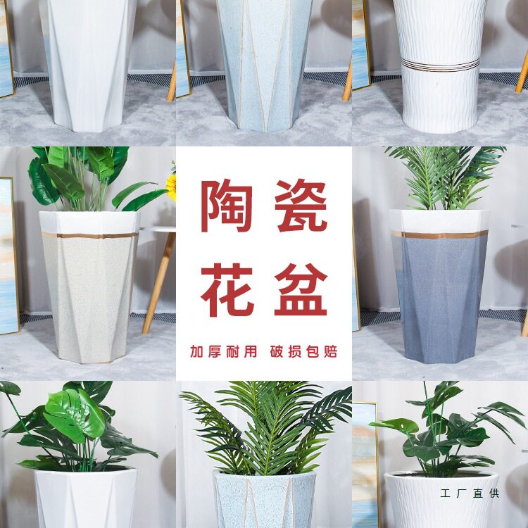陶瓷特大口径号白色花盆简约轻奢感家用客厅落地绿植种树盆栽